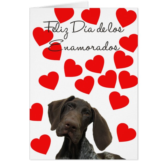 Espagnol Día Enamorados Glossy Grizzly Valentine (Devant)