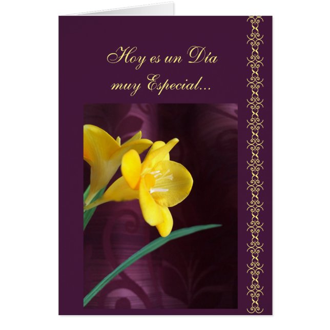 Espagnol : Jour spécial (Devant)