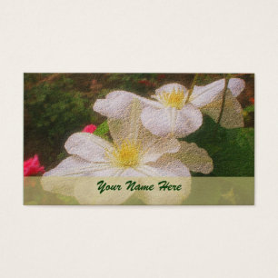 Espèce de White Clematis