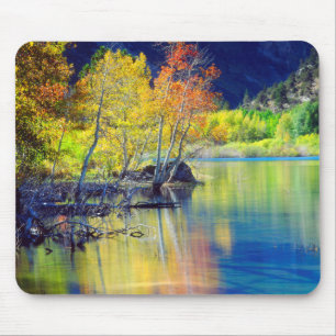 Espenbaum im Herbst, spiegelt sich im Grant Lake Mousepad