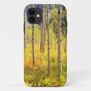 Espenbäume im Herbst in den Rocky Mountains iPhone 11 Hülle