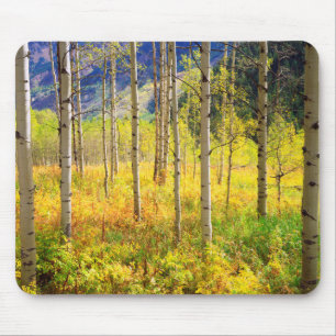 Espenbäume im Herbst in den Rocky Mountains Mousepad