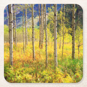 Espenbäume im Herbst in den Rocky Mountains Rechteckiger Pappuntersetzer