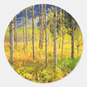 Espenbäume im Herbst in den Rocky Mountains Runder Aufkleber