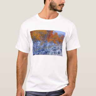 Espenbäume in Herbstfarben, Bighorn Mountains, T-Shirt