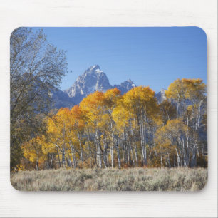 Espenbäume mit der Teton-Gebirgskette Mousepad