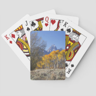 Espenbäume mit der Teton-Gebirgskette Spielkarten