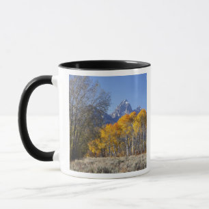 Espenbäume mit der Teton-Gebirgskette Tasse