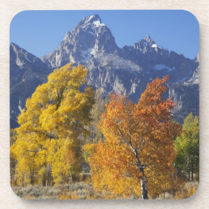 Espenbäume mit der Teton-Gebirgskette Untersetzer