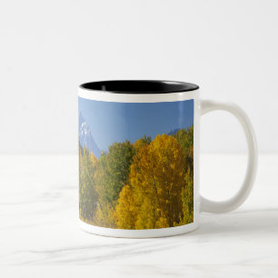 Espenbäume mit der Teton-Gebirgskette Zweifarbige Tasse