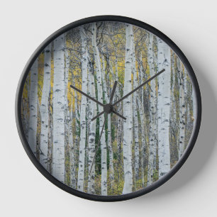 Espenbaumstämme Aspen, Colorado Uhr