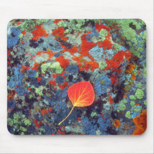 Espenblatt auf einem mit Flechten bedeckten Felsen Mousepad