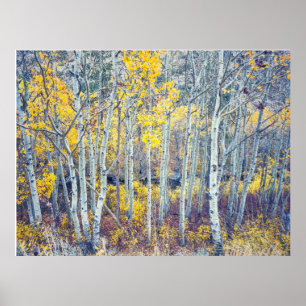 Espenwald im Herbst Poster