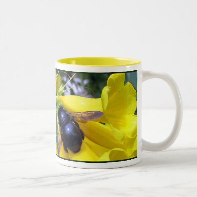 Esperanza-Bienen-Tasse Zweifarbige Tasse (Rechts)