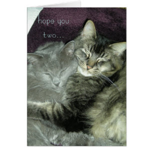 espérez que vous deux… continuez à apprécier vos