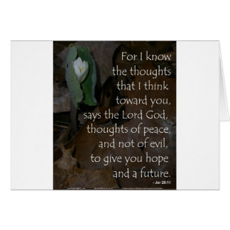 Espoir de 29:11 de Jérémie à l'avenir