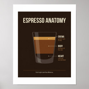 Espresso Anatomie Poster Kaffee-Bar-Wandkunst