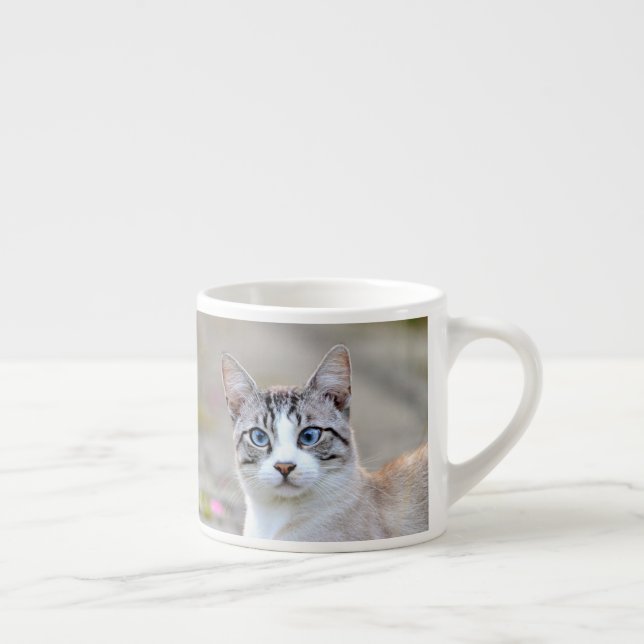 Espresso Becher Foto Katze Haustier Espresso Beche Espressotasse (Rechts)