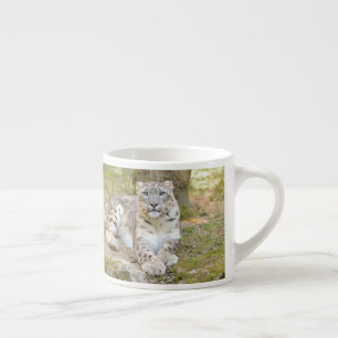 Espresso Becher Foto Schneeleopard, Espresso Beche Espressotasse