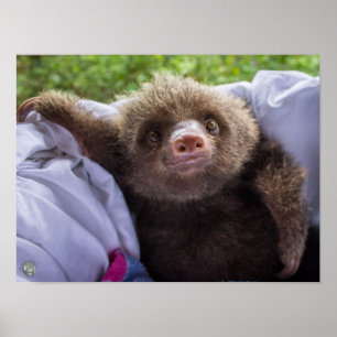 Espresso-Plakat Poster