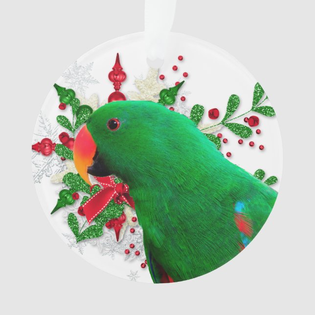 Esprit de Noël Eclectus (devant)