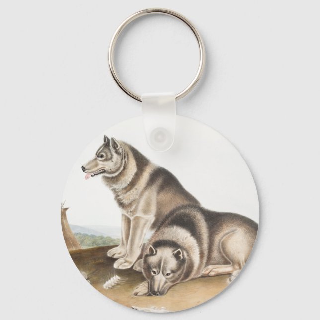 Esquimaux Dog (Canis familiaris) Illustration Schlüsselanhänger (Vorderseite)