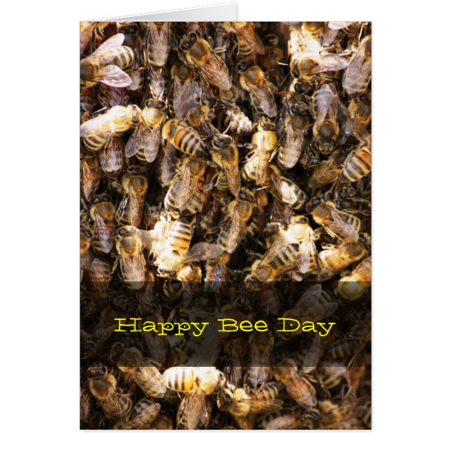 Essaim d'abeille (Devant)