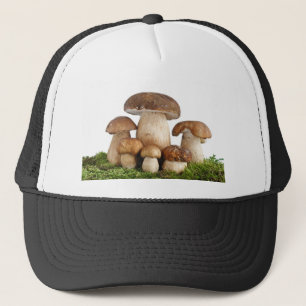Essbare Pilze des Boletus Truckerkappe