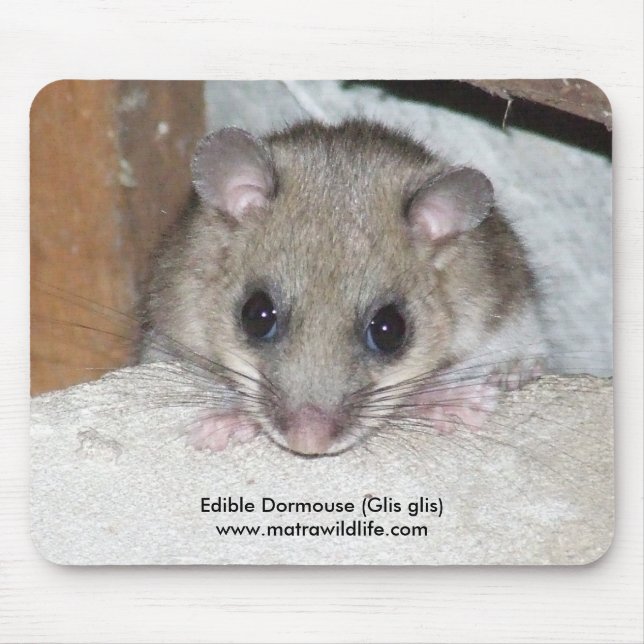 "Essbarer Dormouse" Mousepad (Vorne)