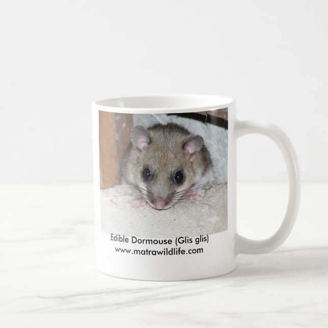 "Essbarer Dormouse-" Tasse (Rechts)