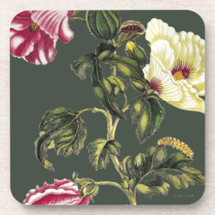 Essbarer Eibisch Getränkeuntersetzer