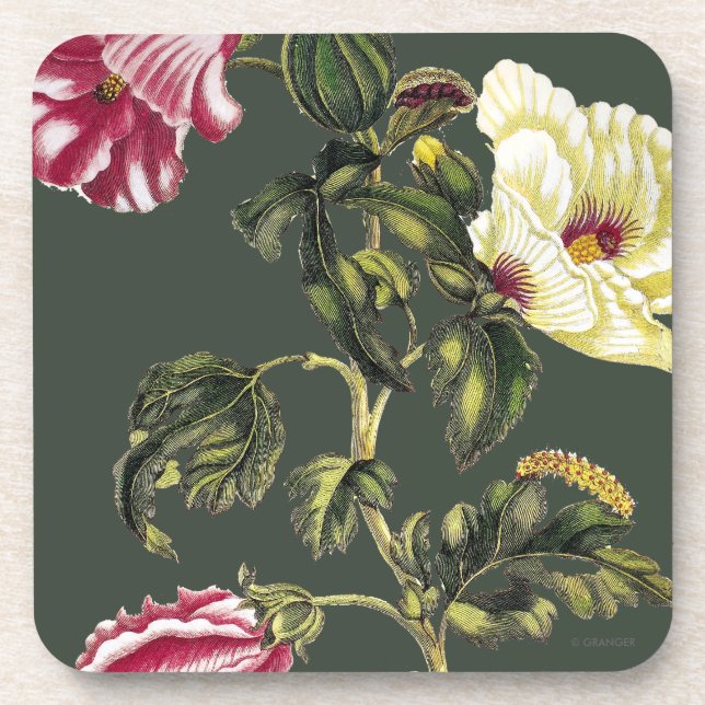 Essbarer Eibisch Getränkeuntersetzer (Vorderseite)