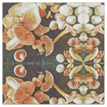 Essbares Pilz-Kaleidoskop