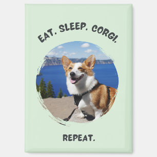 'Essen. Schlafen. Corgi. Wiederholen.' Anpassbares Magnet