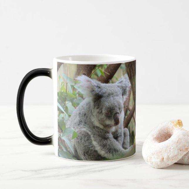 Essen. Schlafen. - Dieser Koala-Bär hatte so einen Verwandlungstasse (Mit Donut)