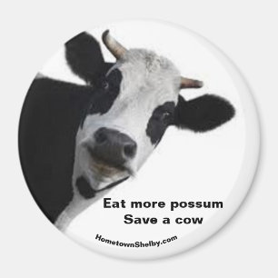 Essen Sie mehr possum Rettete einen Kuhmagnet Magnet
