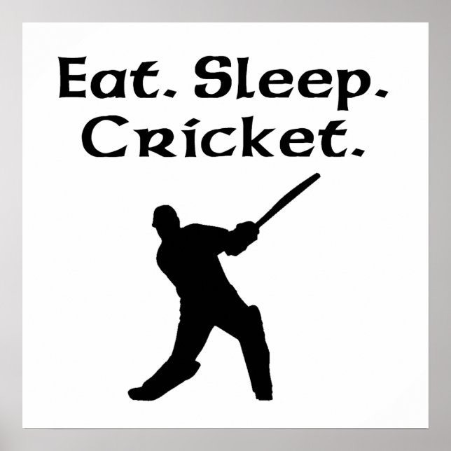 Essen Sie schlafende Cricket Poster (Vorne)