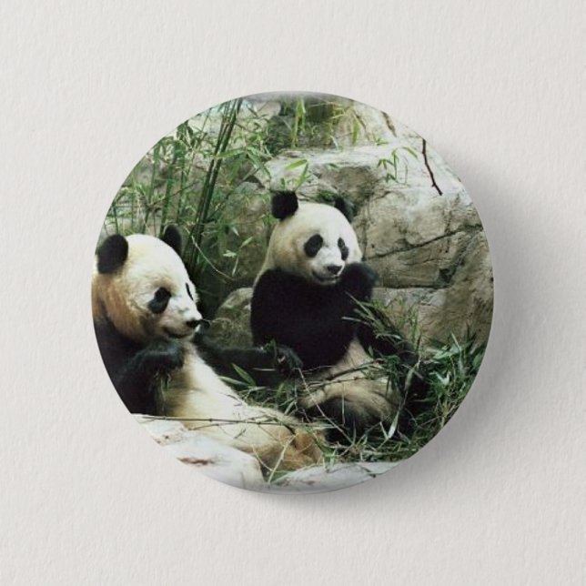 Essender und spielender Pandabär Button (Vorderseite)