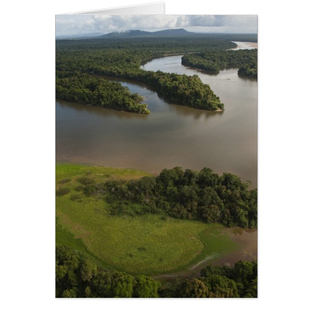 Essequibo-Fluss, längster Fluss in Guyana und (Vorne)