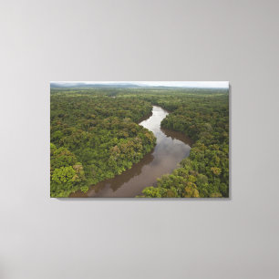 Essequibo-Fluss, längster Fluss in Guyana, und 4 Leinwanddruck