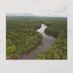 Essequibo-Fluss, längster Fluss in Guyana und 5 Postkarte