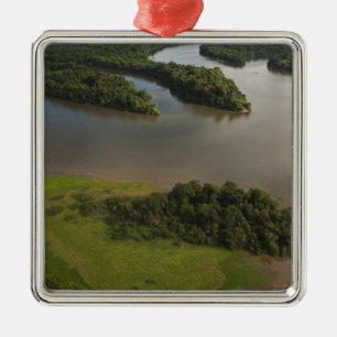 Essequibo-Fluss, längster Fluss in Guyana, und Silbernes Ornament