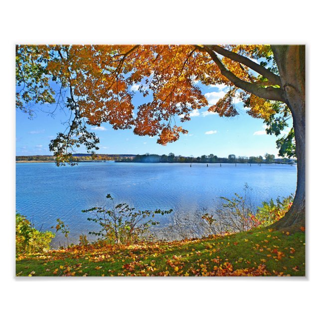 Essex im Herbst Foto drucken (Vorne)