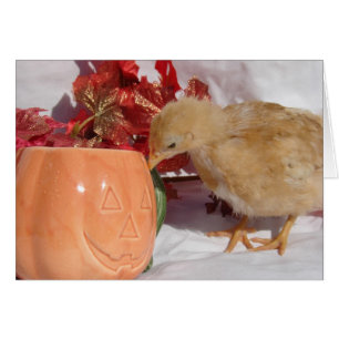 Est-Ce De La Nourriture ?