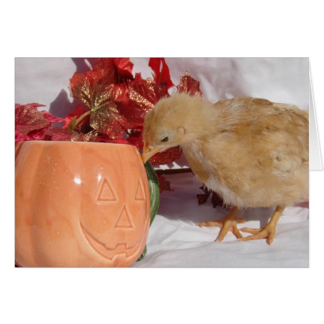 Est-Ce De La Nourriture ? (Devant horizontal)