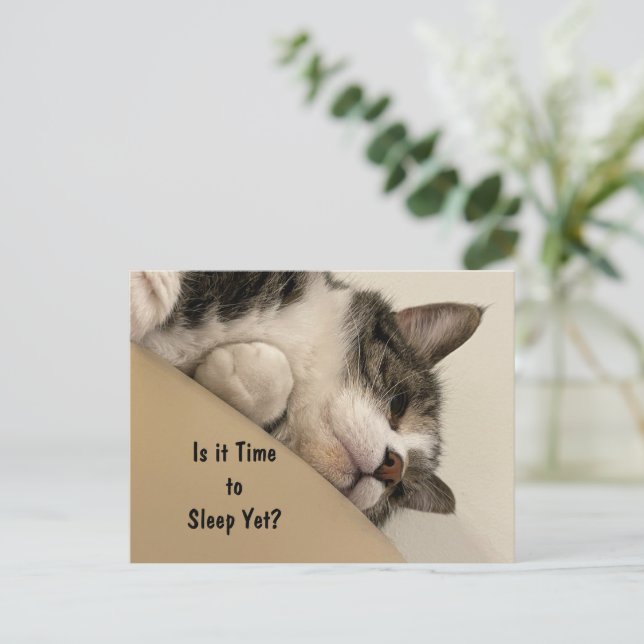 Est-il temps de dormir la carte postale (Debout devant)