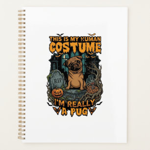 Est Pug Costume Humain Halloween Citrouille Pierre