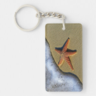 Estarfish orange sur la plage