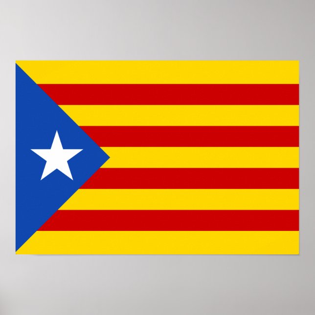 Estelada Poster (Vorne)