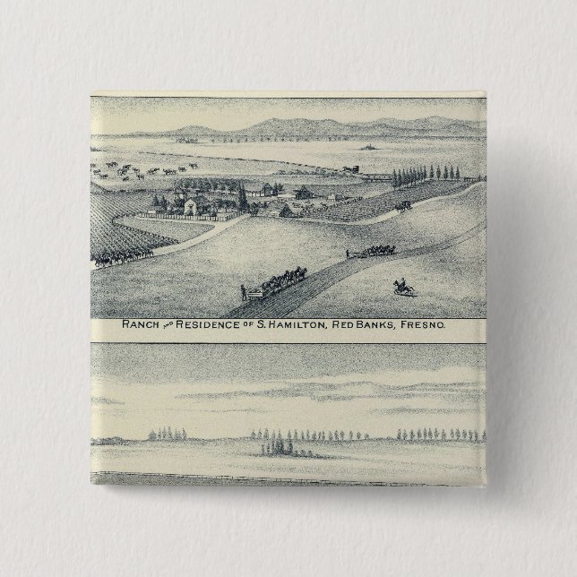 Estella Blanca Weinberg, Kalifornien Button (Vorderseite)